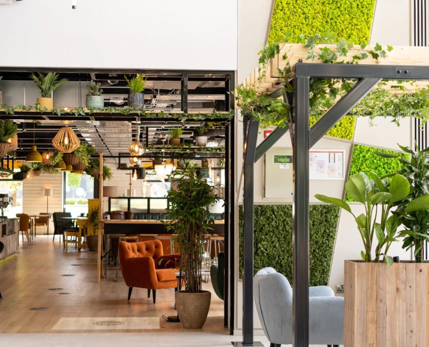 Work Space Redevelopment | The Hive
